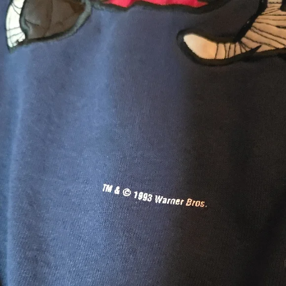 1993 Warner Bros. Jostens Dallas Cowboys And Marvin The Martian Long Sleeve